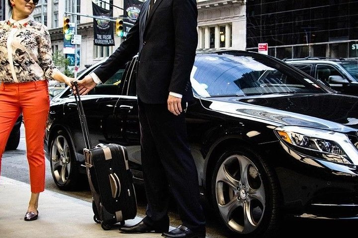 Mercedes S550 and Driver